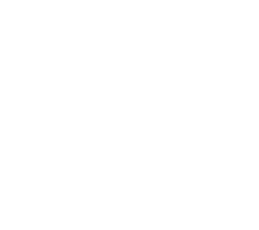 Asset 2logo